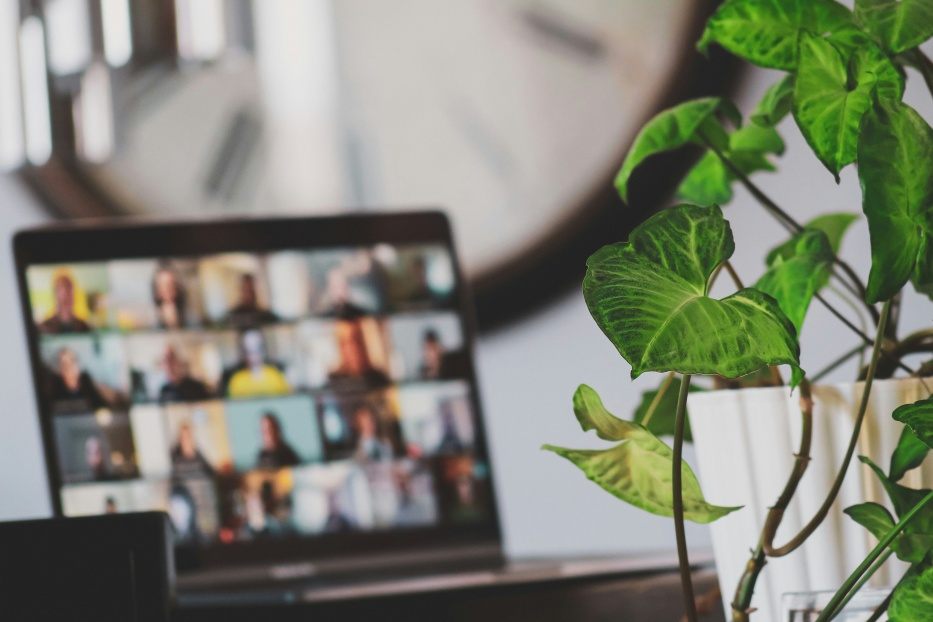Online teaching-Editing education